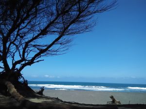 pantai goa cemara